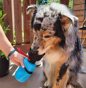 Portable Water Bottle with Built-in Flip Bowl